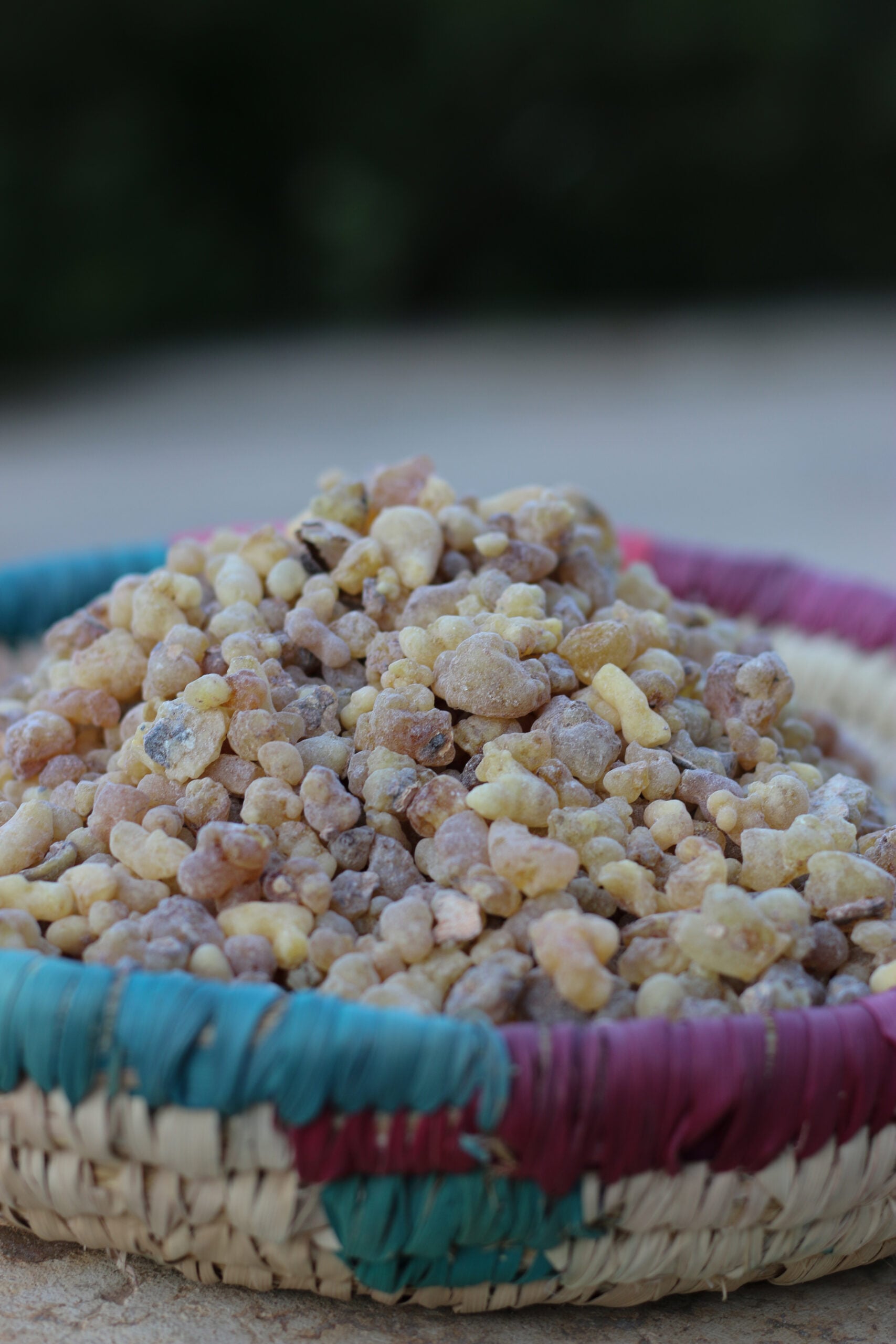 لبان الذكر اليمني – Yemeni frankincense